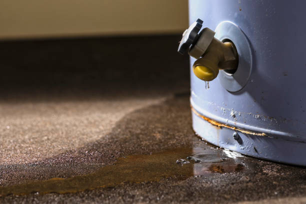 Best Water damage restoration company  in Spring Valley, MN
