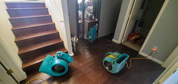 Best Water damage restoration specialists  in Spring Valley, MN