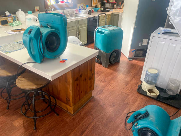 Best Professional water damage repair  in Spring Valley, MN