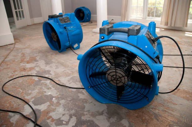Best Water damage cleanup near me  in Spring Valley, MN