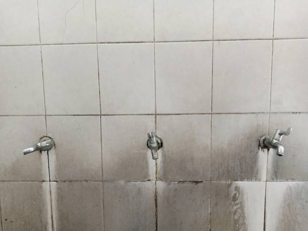 Best Local water damage restoration  in Spring Valley, MN