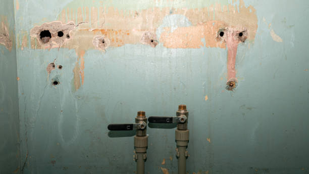 Best Flood damage cleanup  in Spring Valley, MN