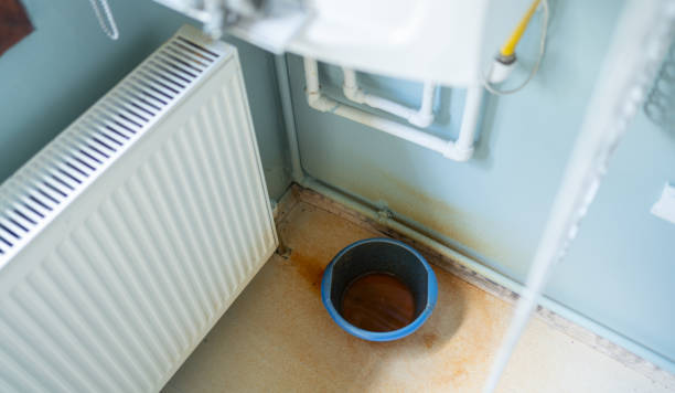Water damage restoration insurance claims in Spring Valley, MN