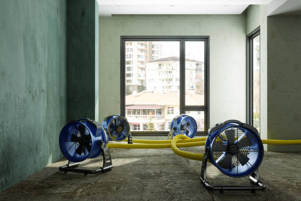 Best Residential water damage restoration  in Spring Valley, MN